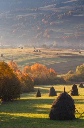 Landscape In the sunlight haystacks on autumn mountain meadow.の写真素材