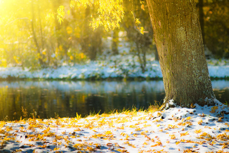 Views of the autumn park with yellow leaves on snow in sun rays and river bridge.Filtered image: Soft and colorful effects.の写真素材
