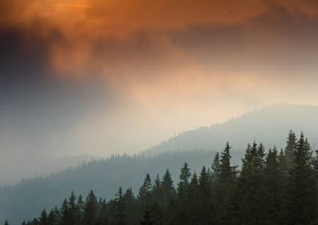 Sunrise above peaks of smoky mountain with the view of forest in the foreground. Dramatic overcast...