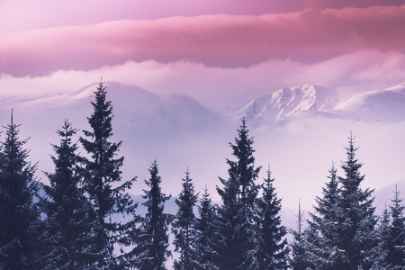 Dramatic sunrise in the winter mountains. Fantastic morning glowing by sunlight.の写真素材