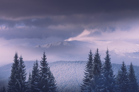 Dramatic sunrise in the winter mountains. Fantastic morning glowing by sunlight.の写真素材