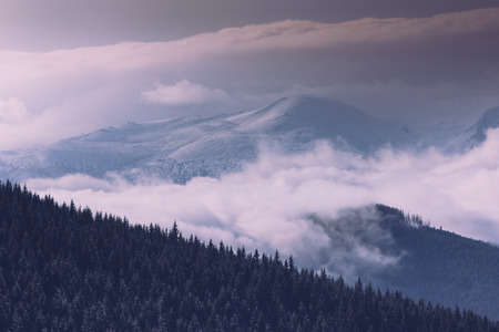 Foggy winter landscape in the mountains. View of forest hills covered by snow and hoarfrost.の写真素材