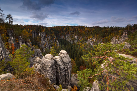 Saxony Bastei Mountains National Park View Exposed sandstone rocks and forest hilly at sunset. Concept of outdoor recreation in natural settings.の写真素材