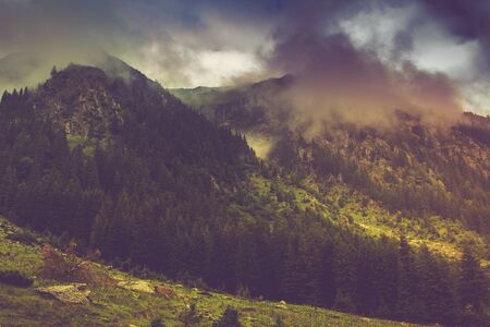 Mountain landscape and forests tops covered with mist. Dramatic overcast sky. Fagaras Mountains.Transylvania. Romania. Filtered image: cross processed vintage effect.の写真素材
