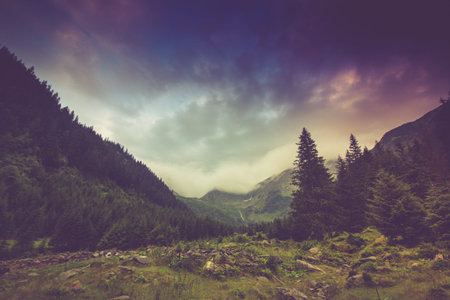 Mountain landscape and forests tops covered with mist. Dramatic overcast sky. Fagaras...