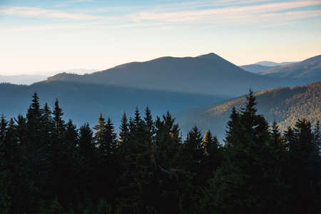 Amazing landscape in the mountains at the evening. View of the slopes covered with forest which are illuminated by light at sunset. East Carpathian Biosphere Reserve. Ukraine.の写真素材