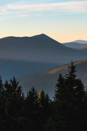 Amazing landscape in the mountains at the evening. View of the slopes covered with forest which are illuminated by light at sunset. East Carpathian Biosphere Reserve. Ukraine.の写真素材