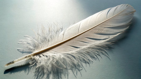 A delicate white feather with soft, fluffy edges lies flat on a smooth surface, illuminated by gentle sunlight. The light highlights the feather's details and textures, creating a calming scene.の素材