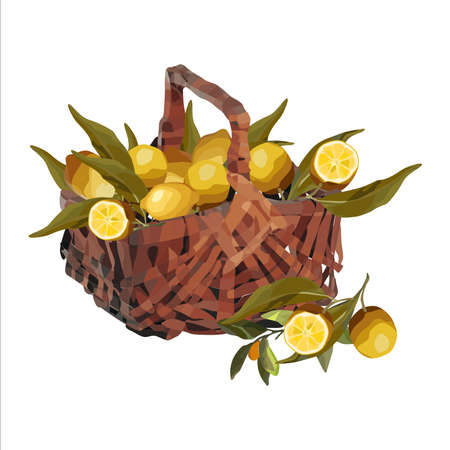 Vector basket of ripe lemons. Autumn design of crops, fruits, agricultureのイラスト素材
