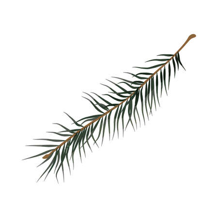 Vector realistic branch els for cozy designsのイラスト素材