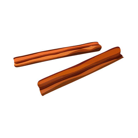 Two vector cinnamon sticks for cozy designsのイラスト素材