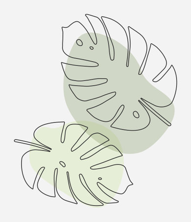 Monstera leaves in a stroke.One line drawing art. Abstract minimal vector illustrationのイラスト素材