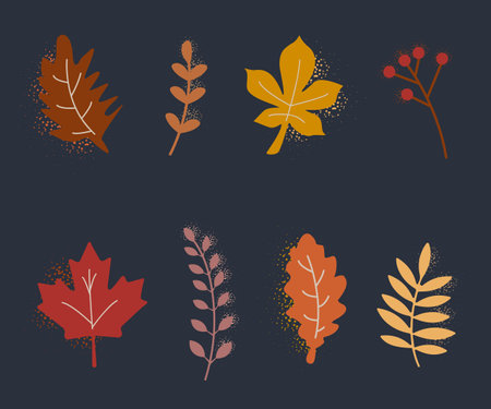 Colorful autumn leaves illustration set with a texture on a dark background. Vectorのイラスト素材