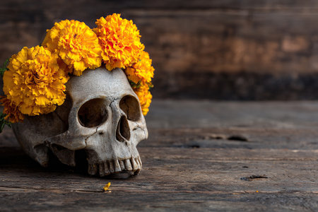 A human skull with a wreath of orange flowers stands on a wooden table. Concept for Day of the Dead, Dia De Los Muertos, Diwali. Halloweenの素材