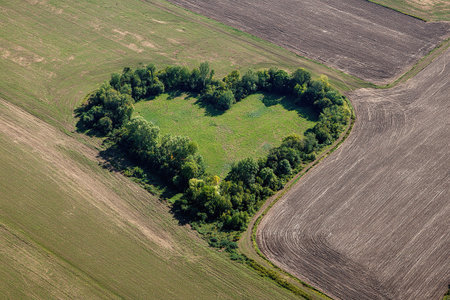 A heart-shaped pattern created by nature from trees and bushes in a field. Top viewの素材