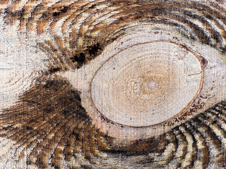 Texture of an untreated wooden board with a stump. Wood texture. Close-up of a wooden surface. Wooden background.の写真素材