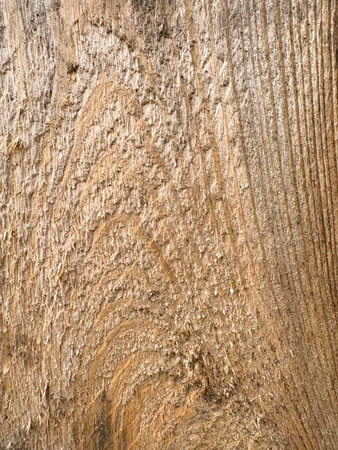 Texture of cut lumber. Brown wood texture as a background for use in any design. Natural wood texture.の写真素材