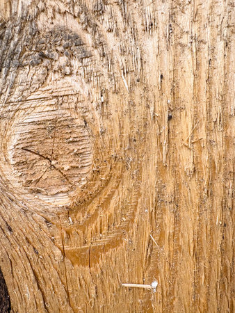 Light wooden texture of rough sawn timber.の写真素材
