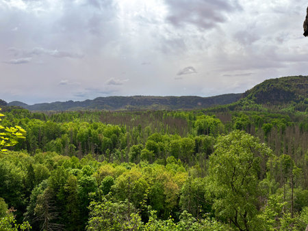 the bright green of the mountain forest contrasting with the gray sky. clean environmentの写真素材