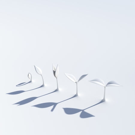 the growing stage of sprouts rendered with white materialの写真素材