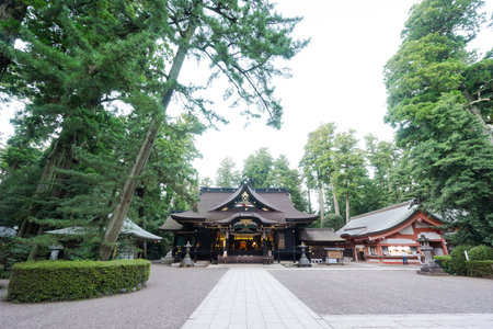 Katori jingu shrine in green forest. the history culture heritage in Chiba Prefecture, Japanのeditorial素材