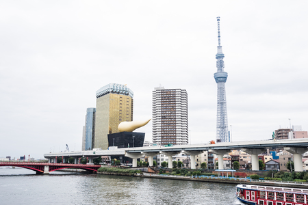 Business and culture concept - panoramic modern city skyline bird eye aerial view with tokyo skytree under beautiful cloudy sky in Tokyo, Japanのeditorial素材