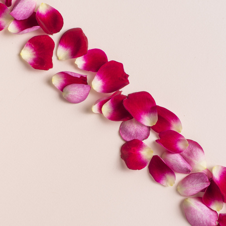 Design concept - top close up view of a lot of red rose petal pattern on pink background for mother, wedding and valentine day mockupの写真素材