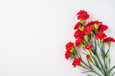 event design concept - top view of a bunch of red carnation isolated on white background for mothers day and valentines day, wedding event with copy space for mock upの写真素材