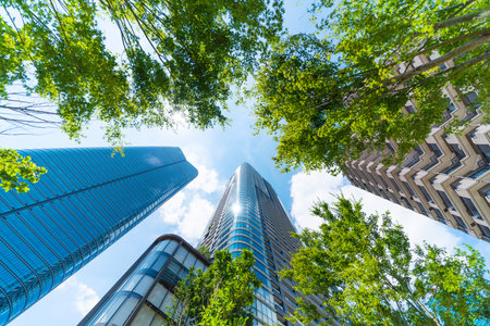 Asia Business concept for real estate, corporate construction and ecology - looking up view of panoramic modern city skyline with blue sky and green tree in Azabudai Hills, tokyo, japanの写真素材