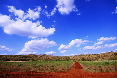 outside the windowの写真素材