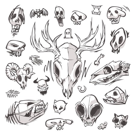 Diverse Skulls and Bones Setのイラスト素材