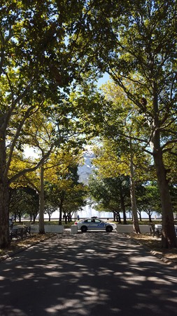 Flushing Meadowsの写真素材