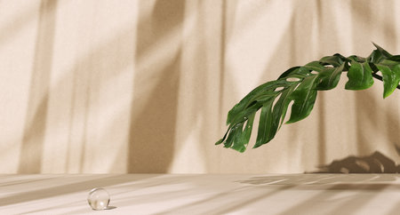 Empty room with plant and sunlight window shadows, wall and floor product display background, organic and natural cosmetic mockup, 3d renderingの写真素材