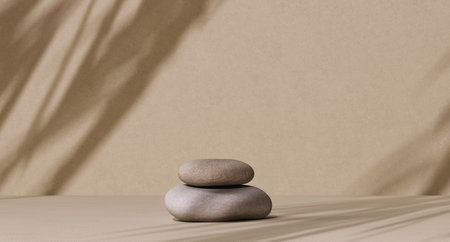 Stone podium, empty room product display, sunlight leaves shadow on wall, natural product presentation 3d rendering backgroundの写真素材