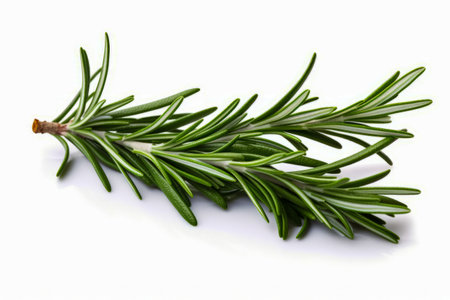 Branch of rosemary on white background with clippings. Generative AI.の素材