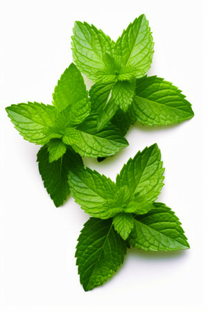 Three green leaves of mint plant on white background with white background. Generative AI.の素材