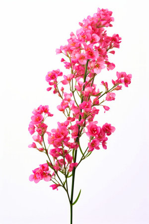 Pink flower is in vase on table top with white background. Generative AI.の素材