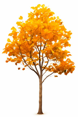 Tree with yellow leaves on it and white background. Generative AI.の素材