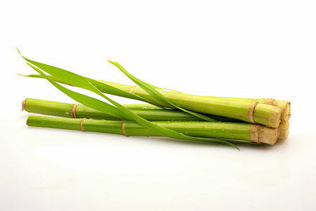 Bunch of green bamboo stalks on white surface with water droplets. Generative AI.の素材