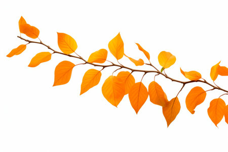 Branch with yellow leaves on it against white background with few light spots. Generative AI.の素材