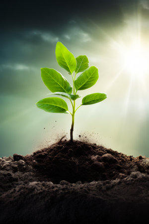 Small green plant sprouts from the ground in the sunlight. Generative AI.の素材