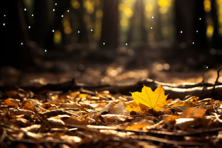 Leaf laying on the ground in the woods with the sun shining through the trees. Generative AI.の素材