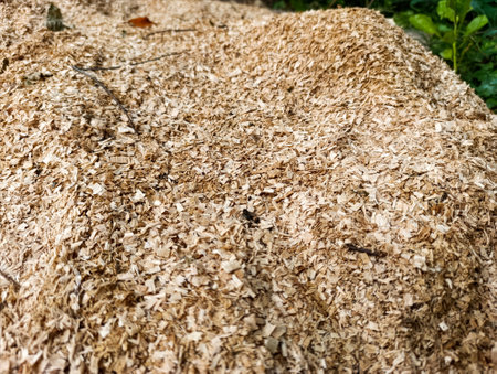 A pile of wood chips sitting on top of a pile of dirt.の写真素材