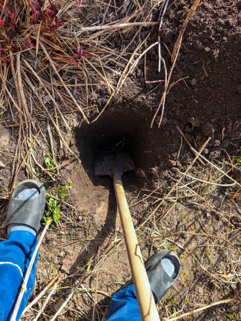 A person digging a hole in the ground with a shovel.の写真素材