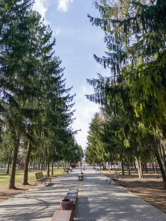 A walkway lined with benches in a park with trees and benches.の写真素材