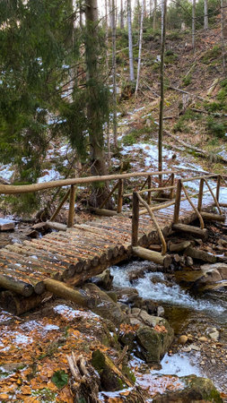A wooden bridge over a stream in the woods.の写真素材