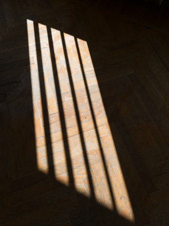 A shadow of a wooden floor casts a long shadow on the floor.の写真素材