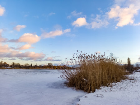 A snow covered field with tall grass in the foreground.の写真素材