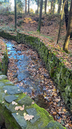 A stone wall with a stream running through it in the woods.の写真素材