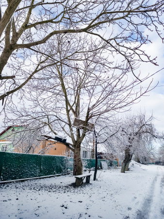 A snow covered street with a bench in the middle of it.の写真素材